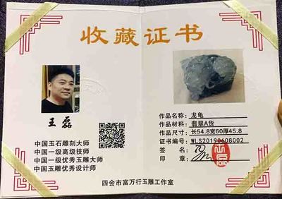 龍魚證書編號查詢（如何查詢龍魚證書編號） 龍魚證書編號查詢（如何查詢龍魚證書編號） 龍魚百科 第3張