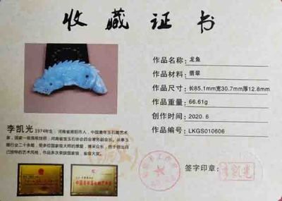 龍魚證書編號查詢（如何查詢龍魚證書編號） 龍魚證書編號查詢（如何查詢龍魚證書編號） 龍魚百科 第4張