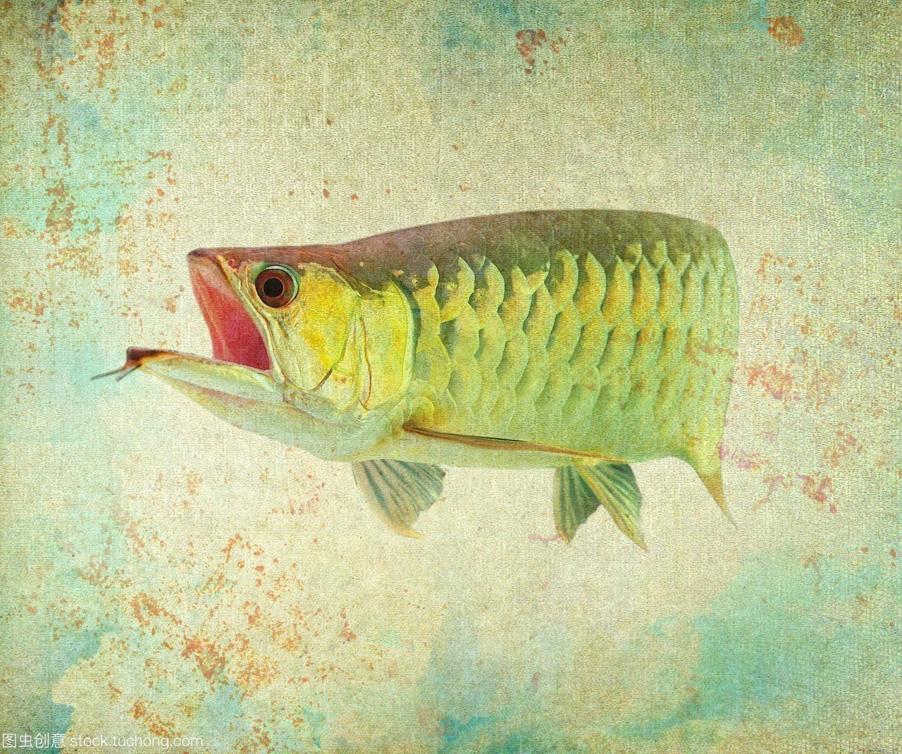 30多公分打頂燈背上出框了側面什么時候出框明顯啊