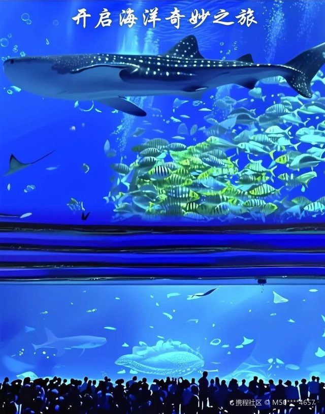 珠海水族館 龍魚世家水族館認真開放