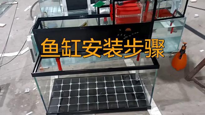 有哪些品牌的水族箱適合養紅龍魚？