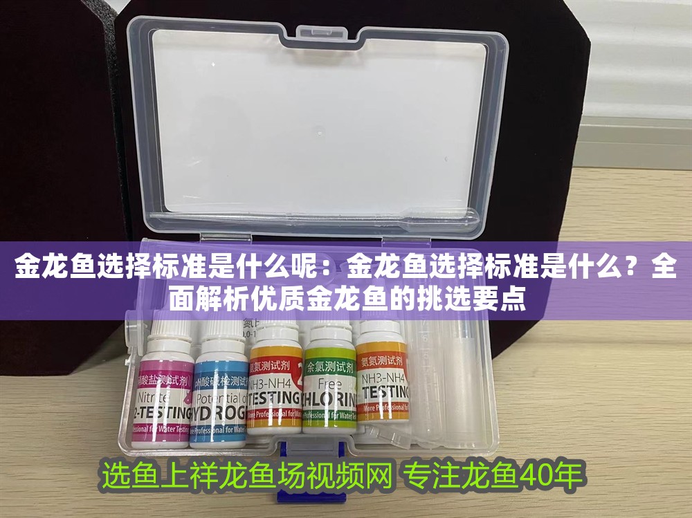 金龍魚選擇標準是什么呢：金龍魚選擇標準是什么？全面解析優質金龍魚的挑選要點 金龍魚選擇標準是什么呢：金龍魚選擇標準是什么？全面解析優質金龍魚的挑選要點 龍魚百科 第1張