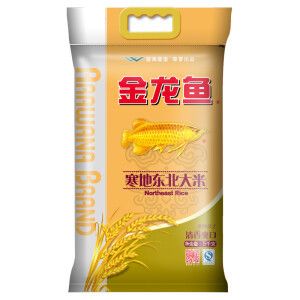 給金龍魚吃的什么魚好養(yǎng)（金龍魚吃什么食物最好）