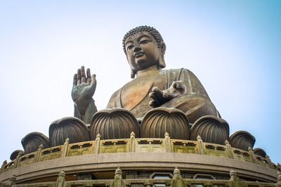 月光鴨嘴魚水質管理技巧(月光鴨嘴魚水質管理技巧,月光鴨嘴魚混養比例建議) 龍魚百科 第4張 月光鴨嘴魚水質管理技巧(月光鴨嘴魚水質管理技巧,月光鴨嘴魚混養比例建議) 月光鴨嘴魚水質管理技巧(月光鴨嘴魚水質管理技巧,月光鴨嘴魚混養比例建議) 龍魚百科 第4張