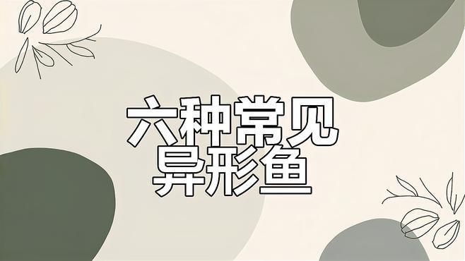 老虎異形魚種類大全