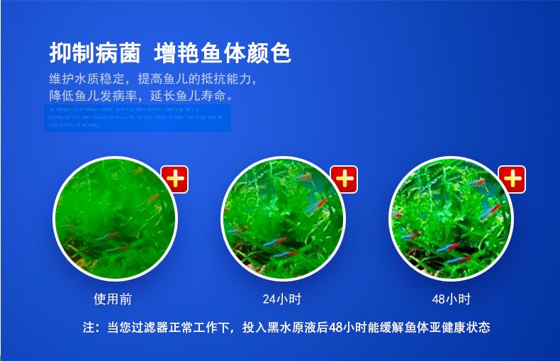 養龍魚夏天魚缸水溫高怎么辦：養龍魚夏天水溫高怎么辦 養龍魚夏天魚缸水溫高怎么辦：養龍魚夏天水溫高怎么辦 龍魚百科 第2張