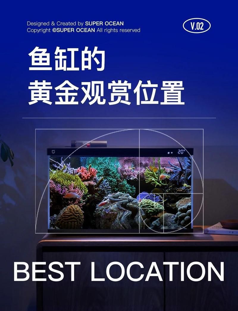 久鼎魚缸最建議買的三個地方