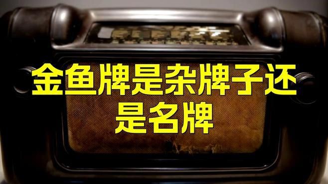 金魚旗下12個品牌介紹 金魚旗下12個品牌介紹 龍魚百科 第1張