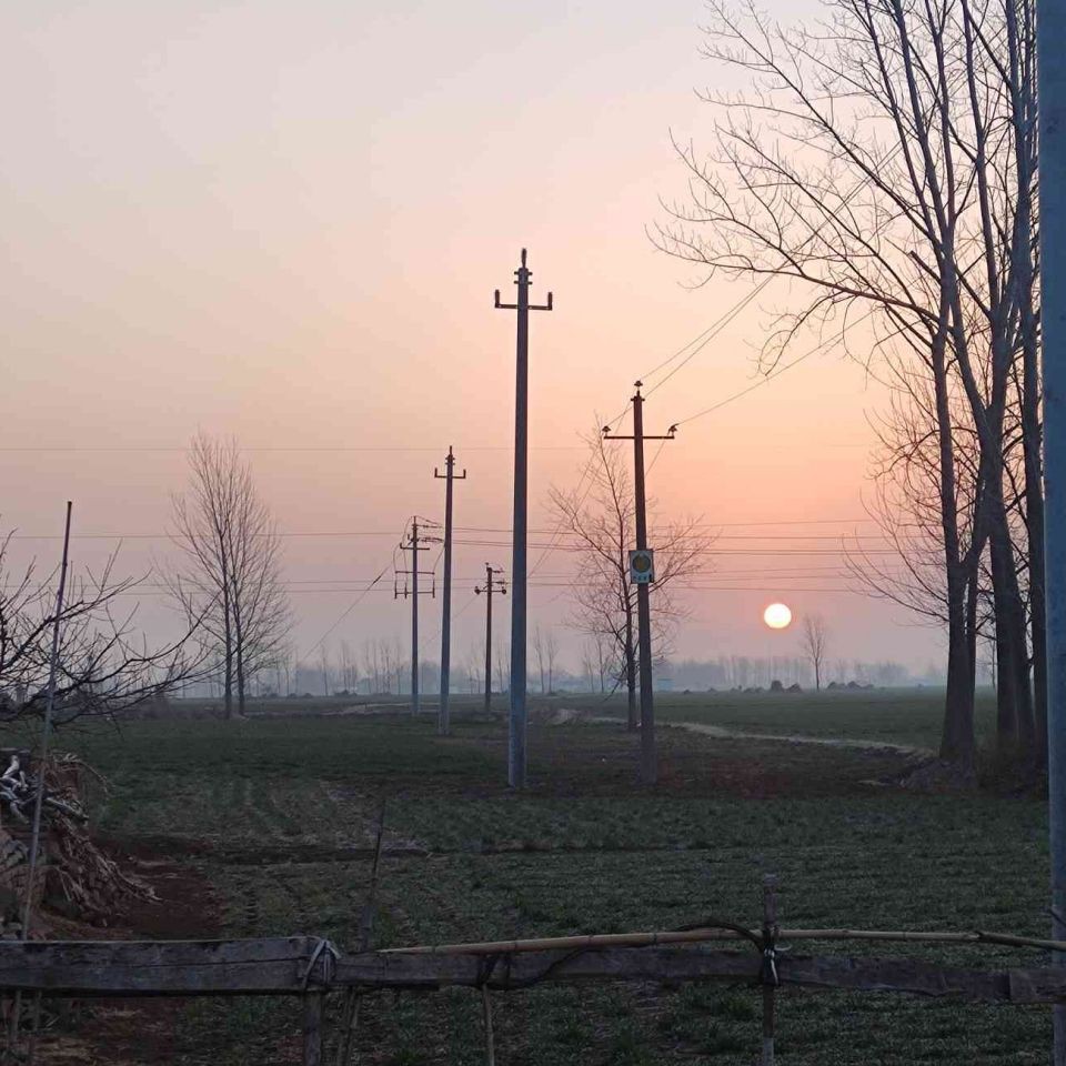 金龍魚(yú)拍賣(mài)2000萬(wàn)元最高價(jià)格