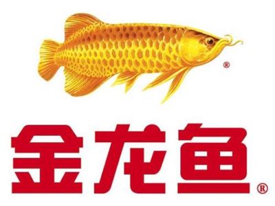 金龍魚吧東方財富網：東方財富網關于金龍魚的信息