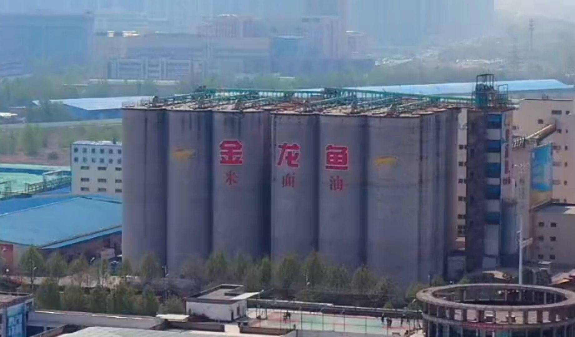 金龍魚食品安全記錄