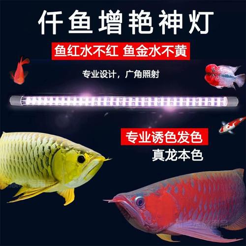金龍魚缸燈擺放圖