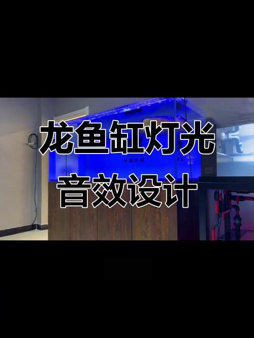 金龍魚缸燈擺放圖