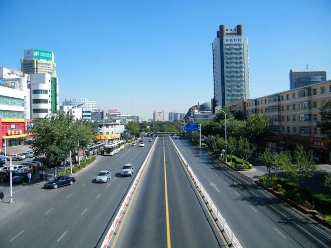 龍魚和招財能混養嗎：龍魚和招財魚可以混養嗎