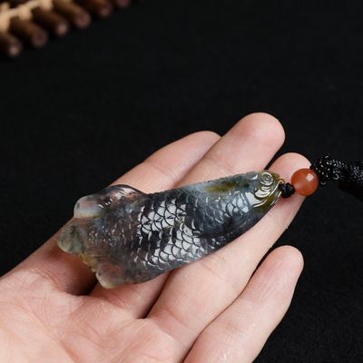 金龍魚眼珠子掉出來了怎么辦