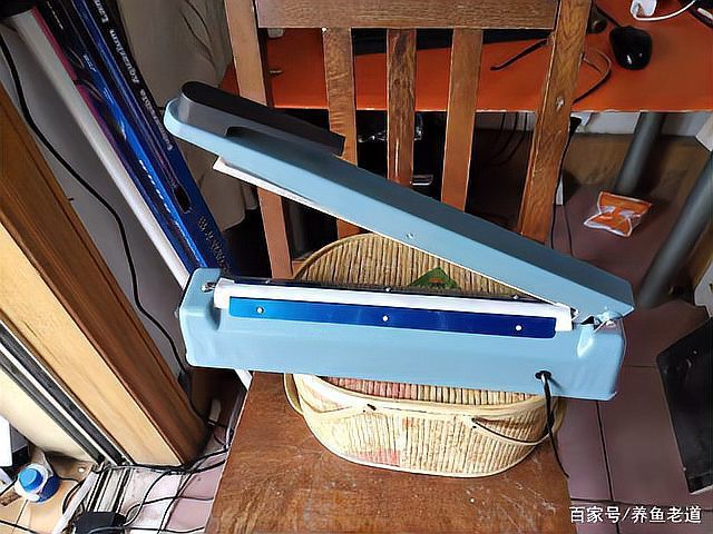 龍魚外寄會復發嗎？ 龍魚外寄會復發嗎？ 龍魚百科 第5張