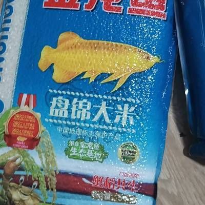 金龍魚誘食，金龍魚的誘食策略