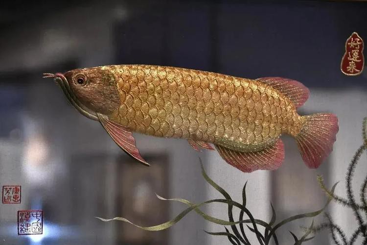 金龍魚工藝品哪個材質最好？
