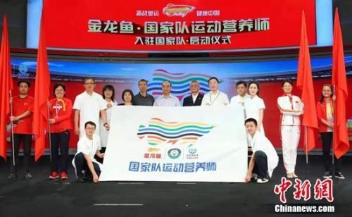 金龍魚國家隊（國家隊合作對金龍魚營收的影響）