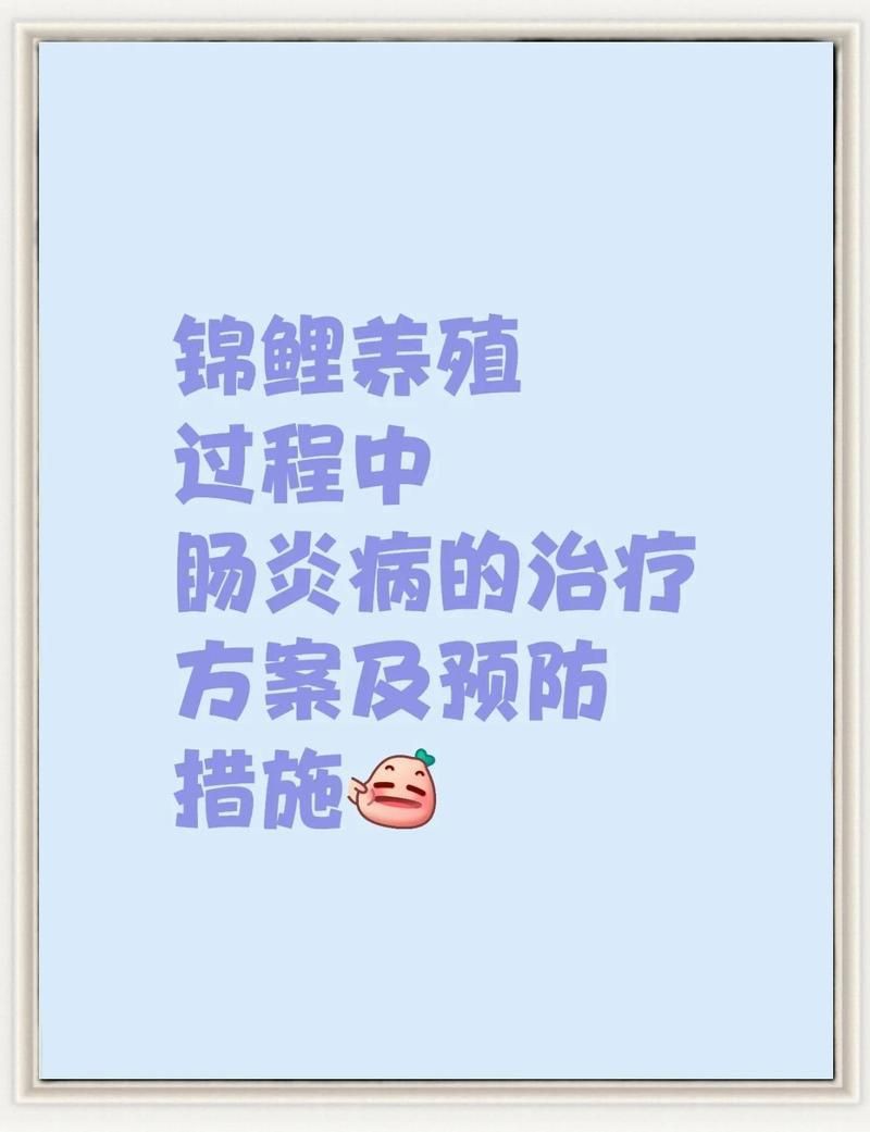 龍魚細菌性腸炎治療需要多長時間？ 龍魚細菌性腸炎治療需要多長時間？ 龍魚百科 第1張