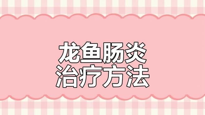 龍魚細菌性腸炎治療需要多長時間？ 龍魚細菌性腸炎治療需要多長時間？ 龍魚百科 第3張