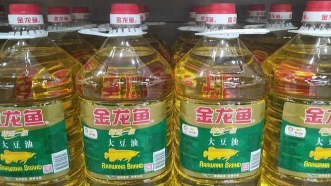 金龍魚在缸下面不動為什么？：金龍魚在缸底不動可能是由多種因素引起的金龍魚趴缸