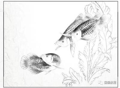 金龍魚該怎么畫好看：金龍魚怎么畫好看