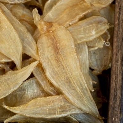 金龍魚膠50頭價格多少錢（50頭金龍魚膠價格介紹金龍魚膠真假辨別方法） 金龍魚膠50頭價格多少錢（50頭金龍魚膠價格介紹金龍魚膠真假辨別方法） 龍魚百科 第1張