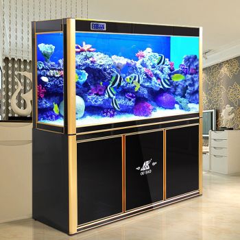 高端龍魚缸品牌排名前十：2024年高端龍魚缸品牌排名