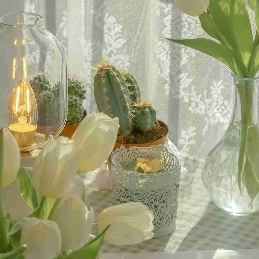 錦鯉的靈性有多強(qiáng)