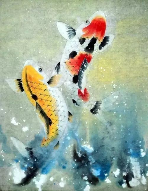 錦鯉的靈性有多強(qiáng)