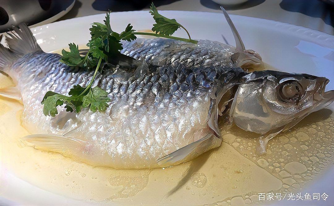 馬來忘不了魚