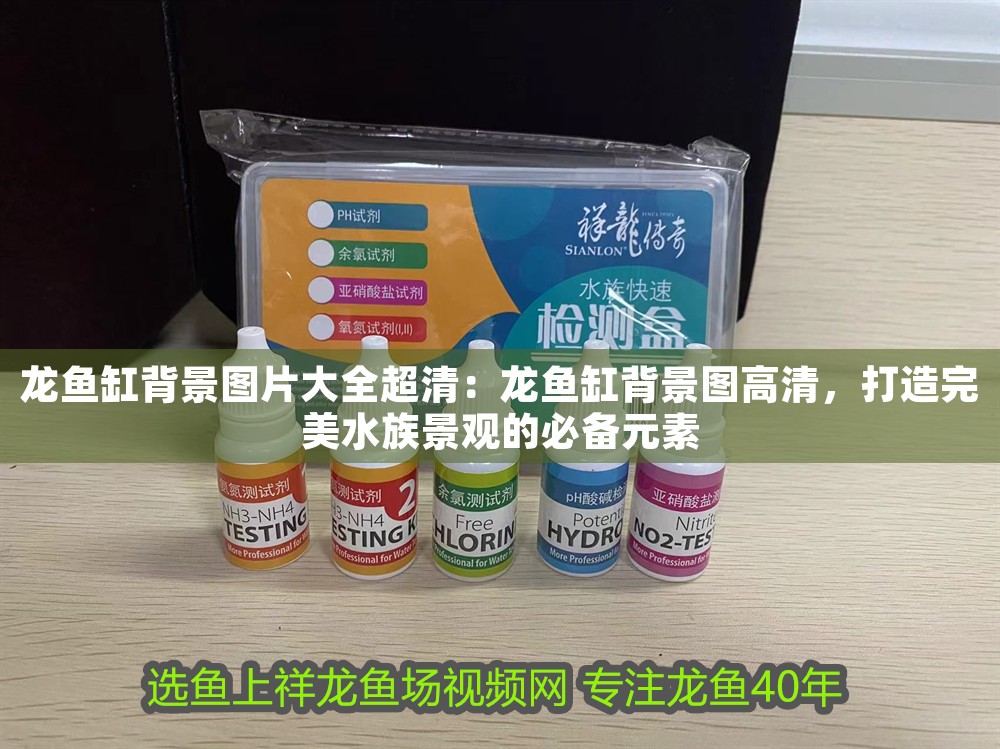 龍魚缸背景圖片大全超清：龍魚缸背景圖高清，打造完美水族景觀的必備元素