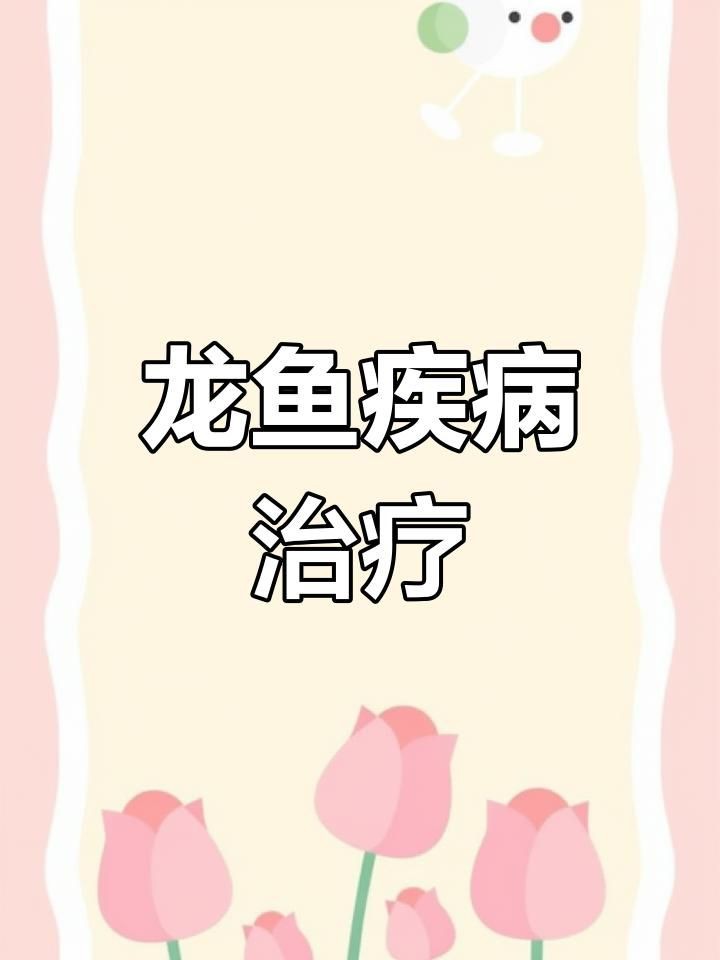 如何判斷龍魚是否健康