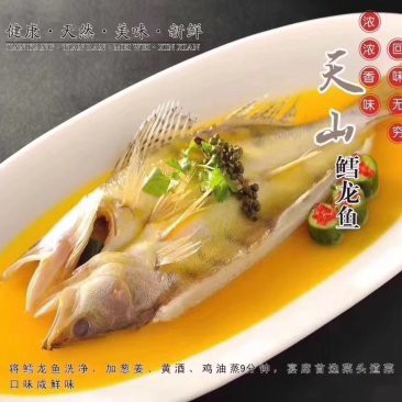 新疆雪龍魚廠家電話