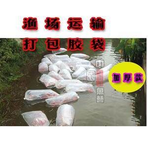 龍魚打包運輸5天的可行性分析（龍魚打包發空運的存活時間）