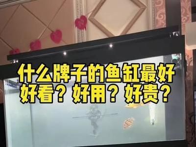 龍魚缸哪個牌子性價比高：德克魚缸定制服務(wù)流程,漢霸魚缸智能功能介紹