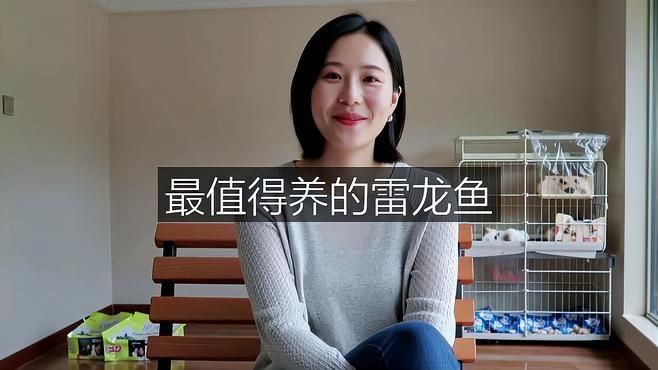 雷龍魚品種選什么好 雷龍魚品種選什么好 龍魚百科 第1張