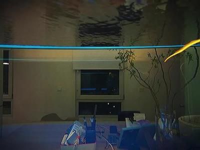 紅龍魚的喂食量與喂食頻率有關嗎？：紅龍魚喂食量與喂食頻率有關嗎？