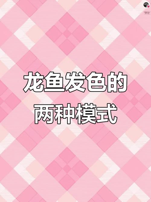 小紅龍魚成長變色過程圖