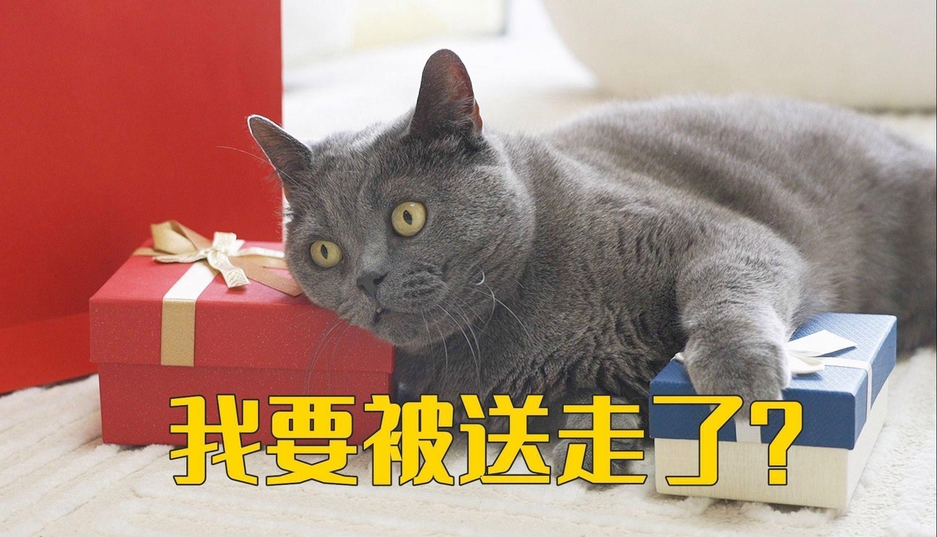 如何預防對過背金龍的過敏反應？