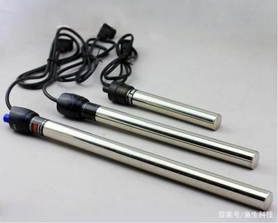 養龍魚需要用加熱棒嗎：養殖龍魚必須用加熱棒嗎養龍魚必須用加熱棒嗎 養龍魚需要用加熱棒嗎：養殖龍魚必須用加熱棒嗎養龍魚必須用加熱棒嗎 龍魚百科 第1張