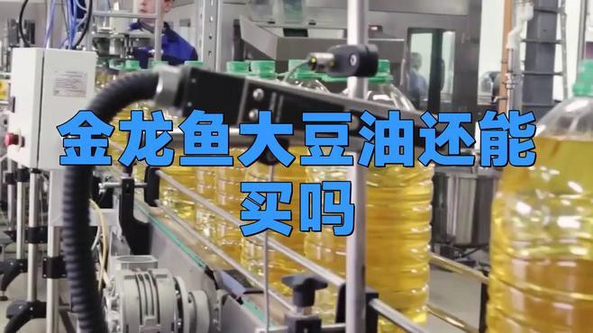 金龍魚豆油好嗎 金龍魚豆油好嗎 龍魚百科 第2張