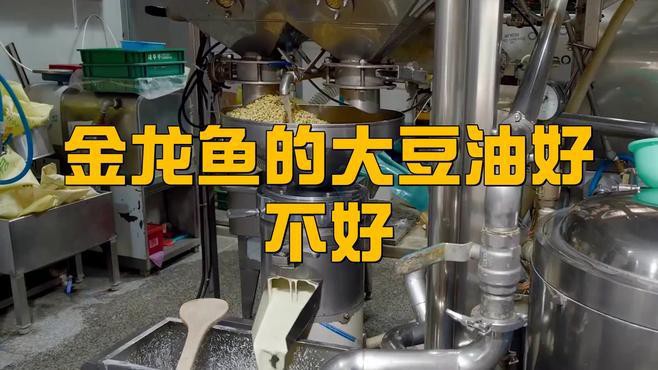 金龍魚豆油好嗎 金龍魚豆油好嗎 龍魚百科 第4張