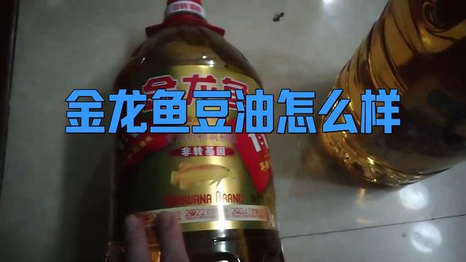金龍魚豆油好嗎 金龍魚豆油好嗎 龍魚百科 第3張