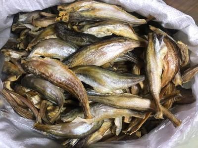 龍魚批發市場在哪里進貨好：龍魚批發市場價格查詢 龍魚批發市場在哪里進貨好：龍魚批發市場價格查詢 龍魚百科 第4張