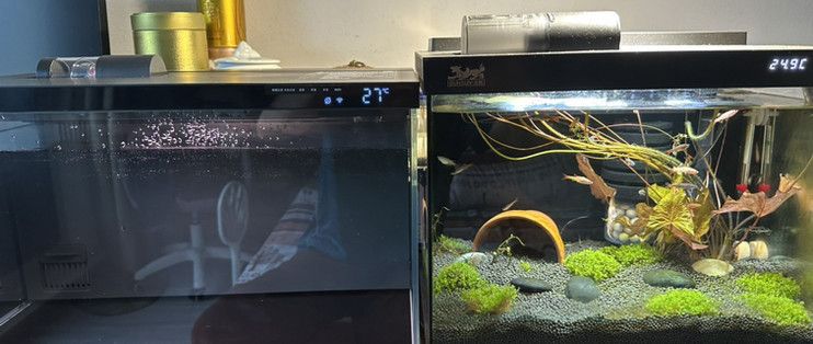 森森金鱗和小米魚缸哪個好（小米魚缸和森森金鱗魚缸哪個好）