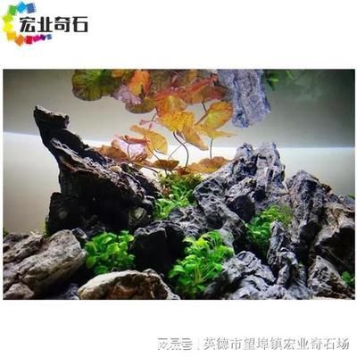 龍魚缸石頭造景，龍魚缸石頭造景創意方案如何選擇適合龍魚的石頭