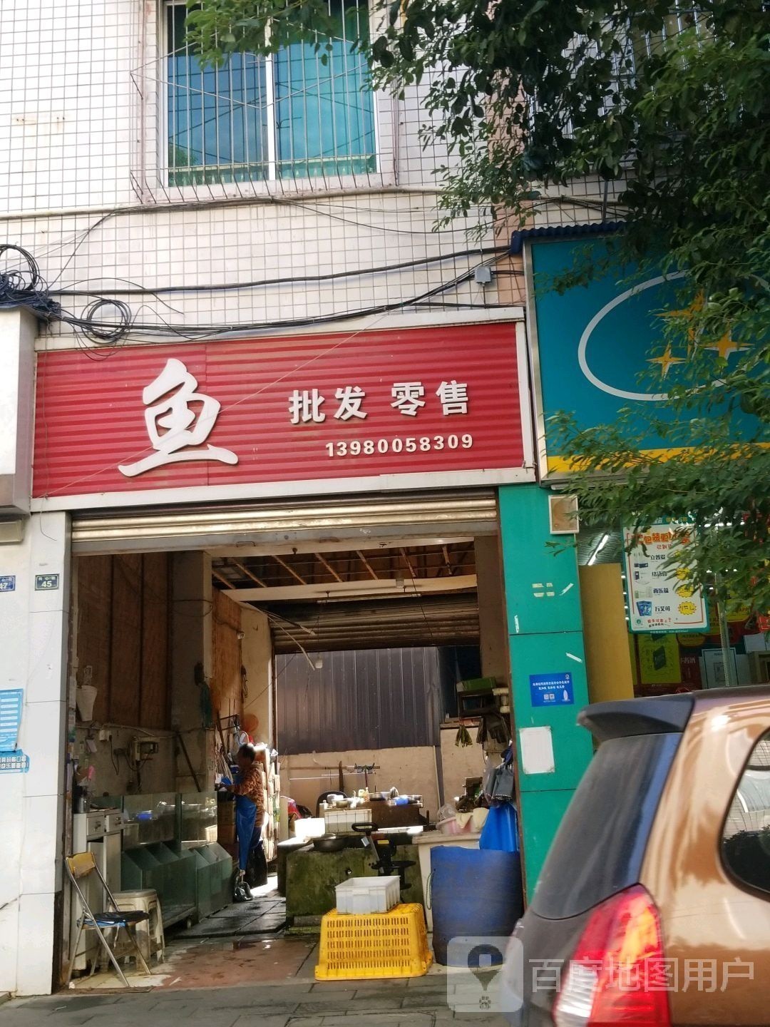 成都哪里有賣龍魚的 成都哪里有賣龍魚的 龍魚百科 第9張