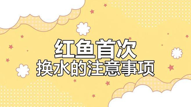 金龍魚和虎魚可以和什么魚混養呢圖片